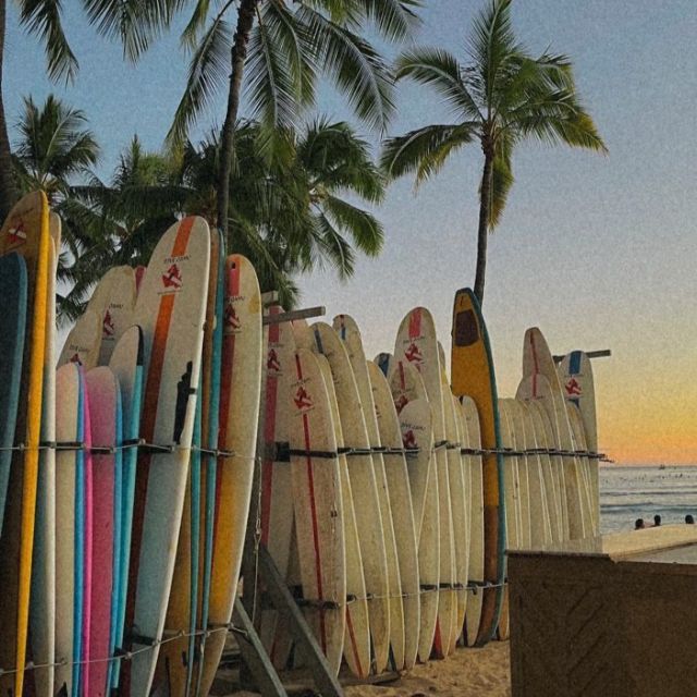 spring break, we're ready for you 🐚🌊

tag us in your SB dumps to win some gift cards 👀